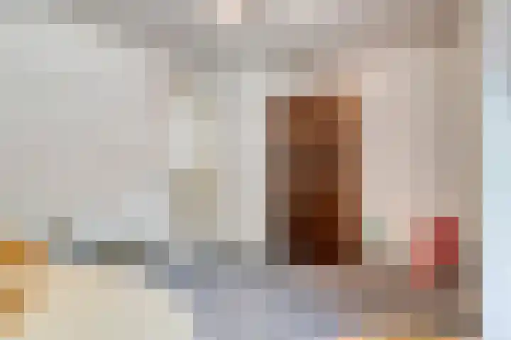 Bosschebaan 20 Heesch thumbnail 25