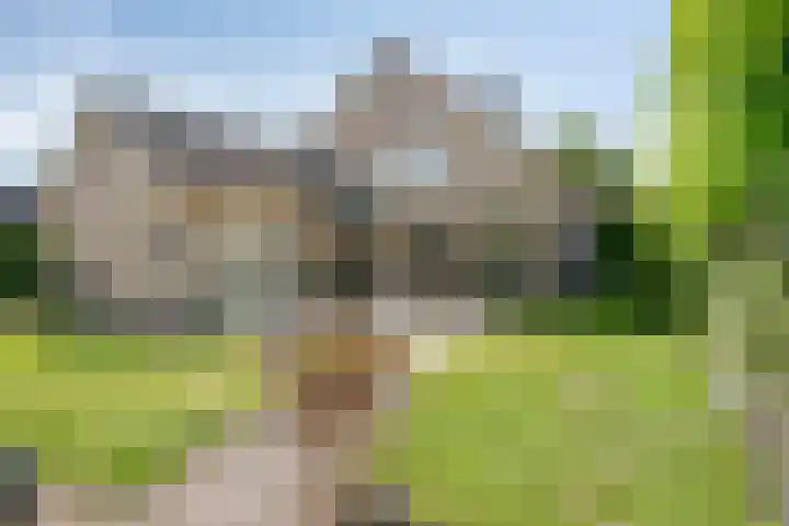 Bosschebaan 20 Heesch thumbnail 36