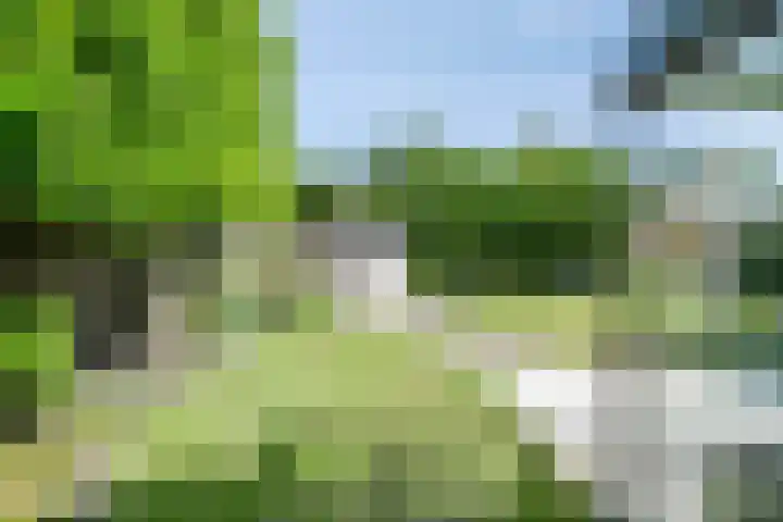 Bosschebaan 20 Heesch thumbnail 40