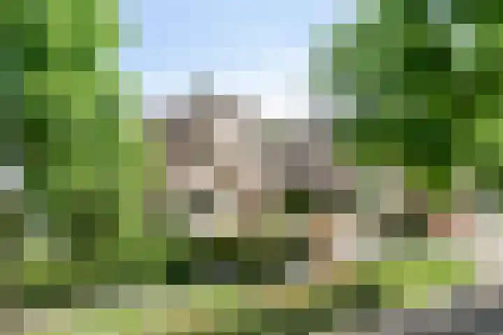 Bosschebaan 20 Heesch thumbnail 45
