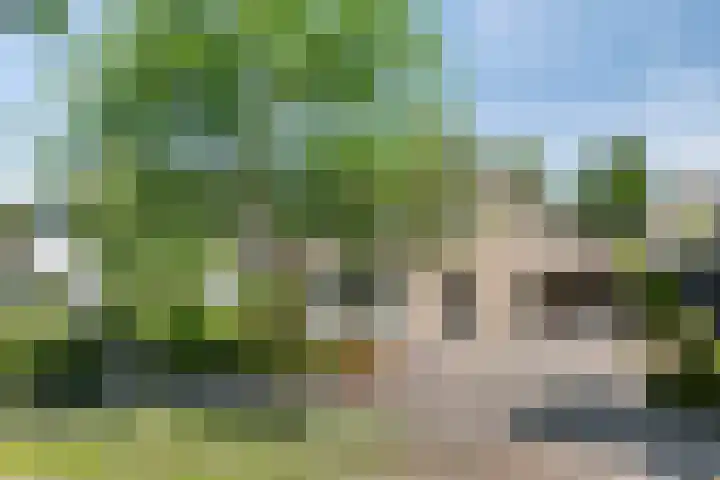 Bosschebaan 20 Heesch thumbnail 51