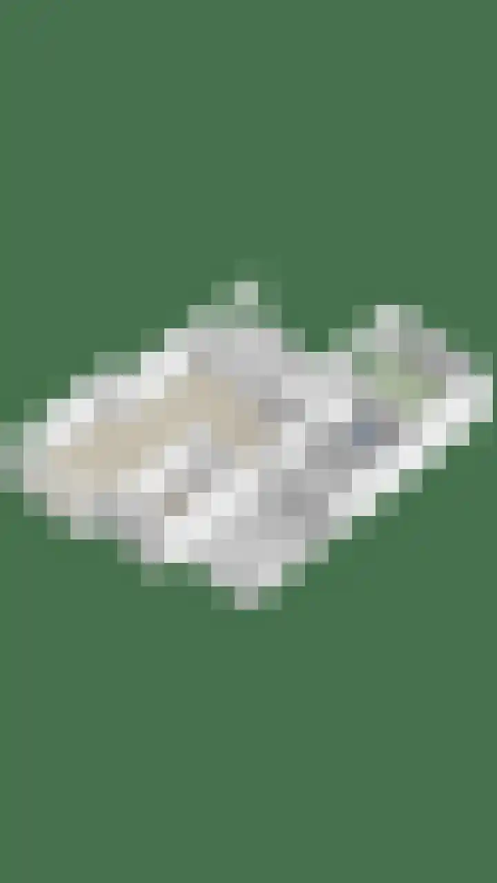 Bosschebaan 20 Heesch thumbnail 55
