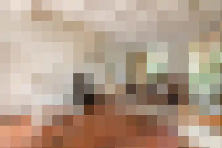 Bosschepad 46 Oss thumbnail 10