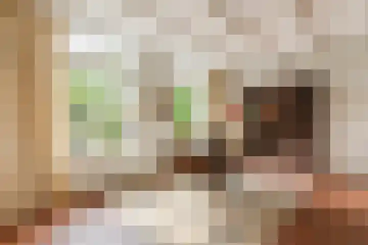 Bosschepad 46 Oss thumbnail 16
