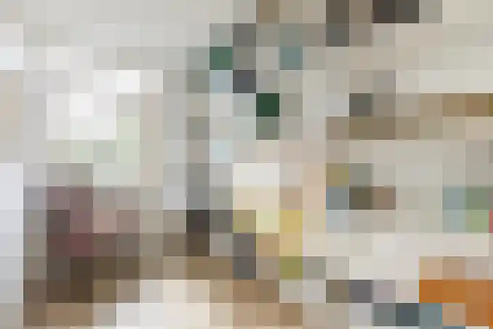 Bosschepad 46 Oss thumbnail 29