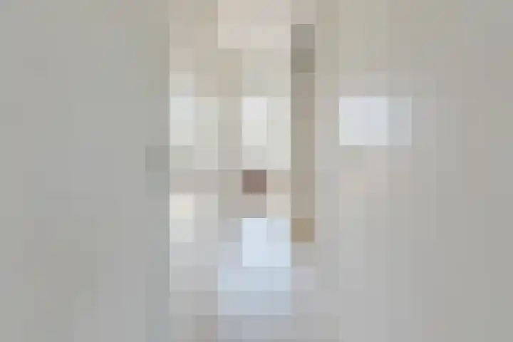 Bosschepad 46 Oss thumbnail 33
