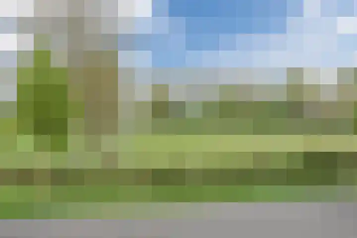 Bosschepad 46 Oss thumbnail 44