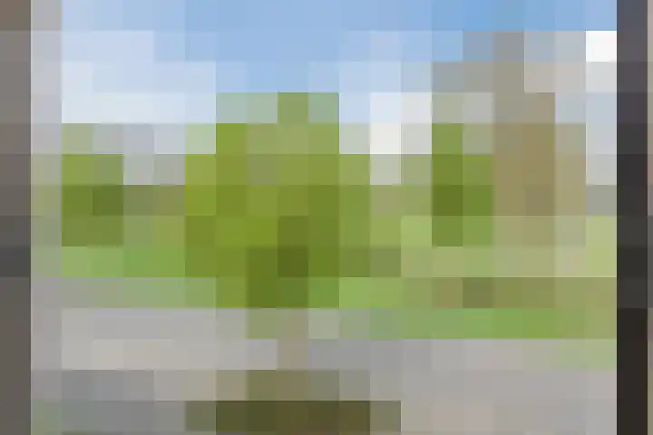 Bosschepad 46 Oss thumbnail 45
