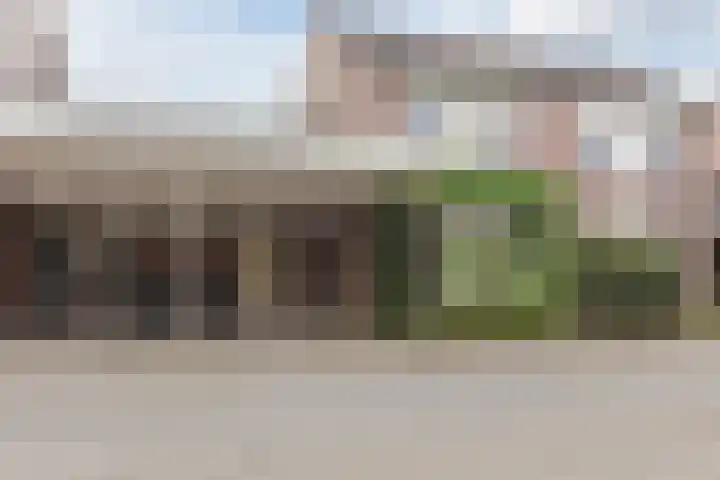 Bosschepad 46 Oss thumbnail 5