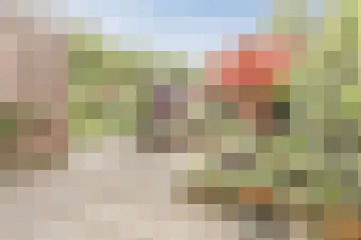Bosschepad 46 Oss thumbnail 50
