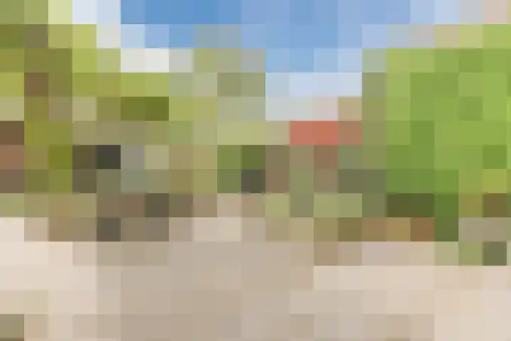 Bosschepad 46 Oss thumbnail 51