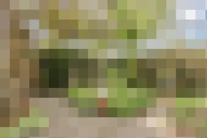 Bosschepad 46 Oss thumbnail 56