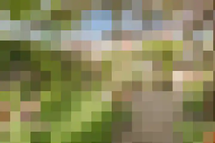 Bosschepad 46 Oss thumbnail 57
