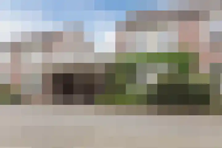 Bosschepad 46 Oss thumbnail 58