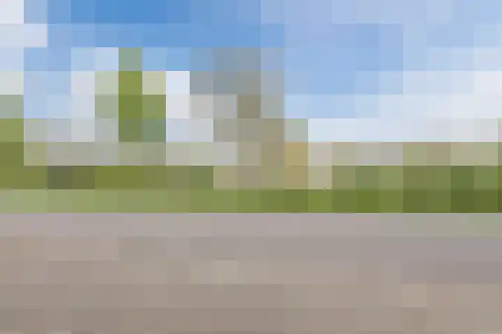 Bosschepad 46 Oss thumbnail 6