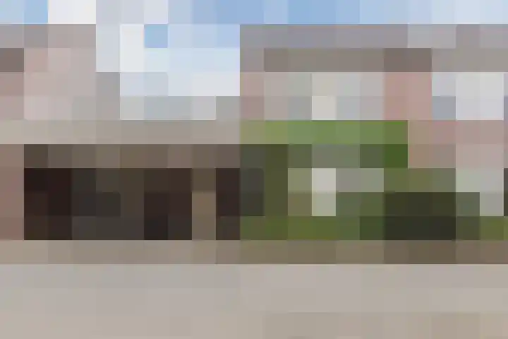 Bosschepad 46 Oss thumbnail 63