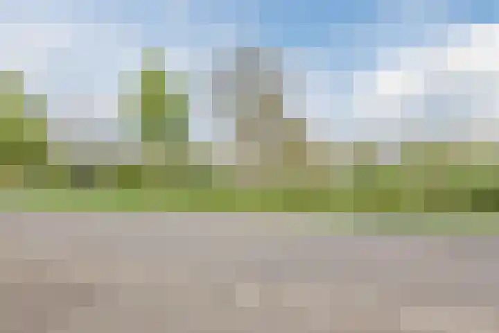 Bosschepad 46 Oss thumbnail 7