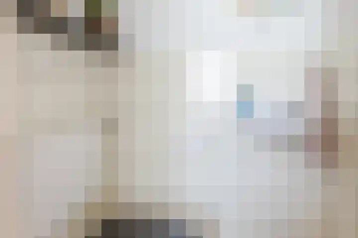 Bosschepad 46 Oss thumbnail 9