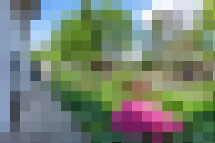 Bosscherweg 4 Hulsberg thumbnail 25