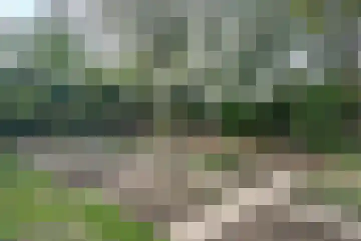 Bosscherweg 4 Hulsberg thumbnail 28