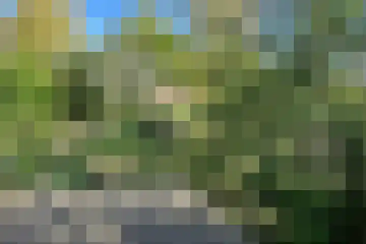 Bosscherweg 4 Hulsberg thumbnail 29