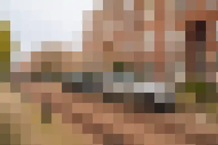 Bosschestraat 7 Den Haag thumbnail 68