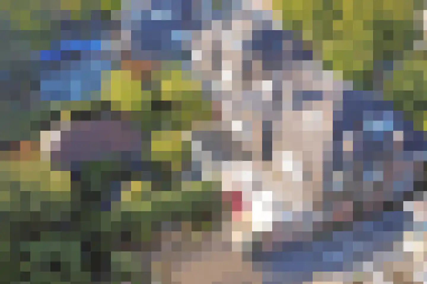 Bosscheweg 38 Vught thumbnail 34