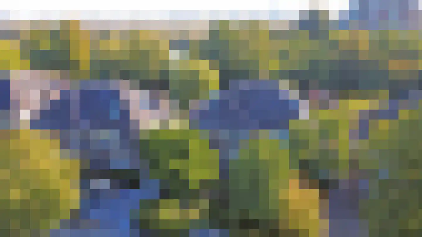 Bosscheweg 38 Vught thumbnail 42