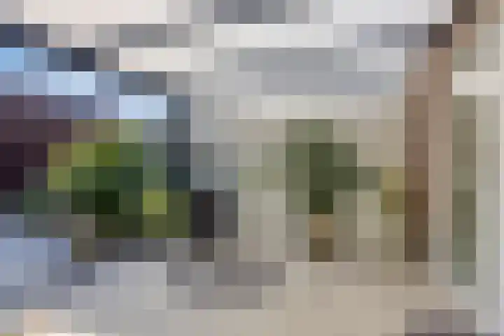 Bosscheweg 4 Tilburg thumbnail 13