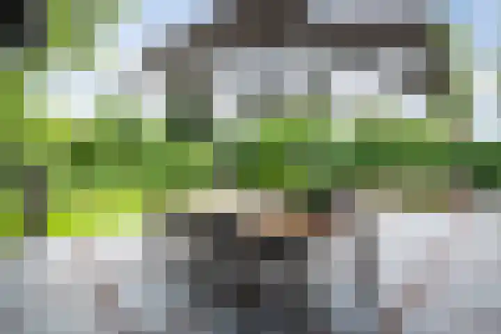Bosscheweg 4 Tilburg thumbnail 17