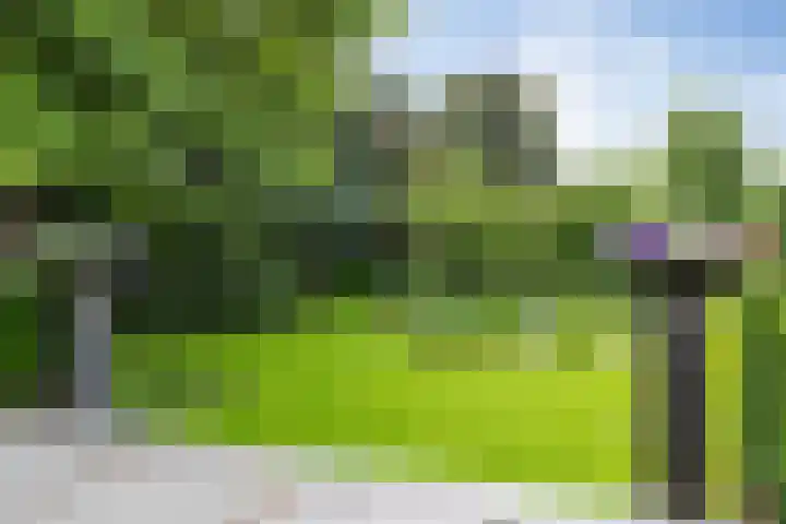 Bosscheweg 4 Tilburg thumbnail 18