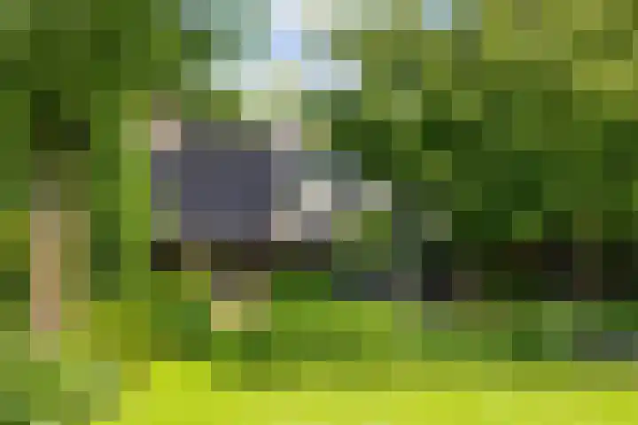 Bosscheweg 4 Tilburg thumbnail 21