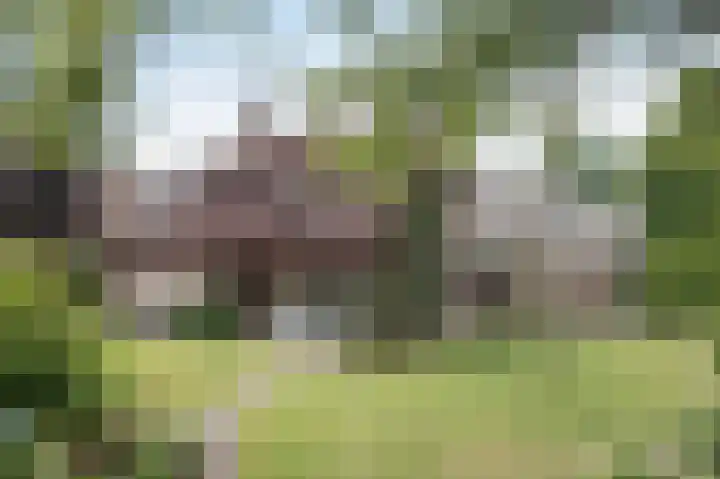 Bosscheweg 4 Tilburg thumbnail 22