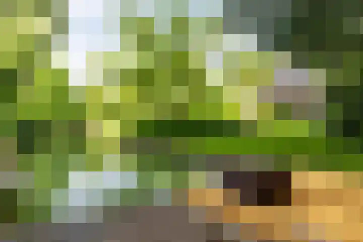 Bosscheweg 4 Tilburg thumbnail 23