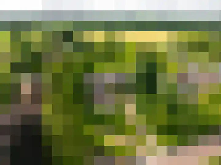 Bosscheweg 4 Tilburg thumbnail 30