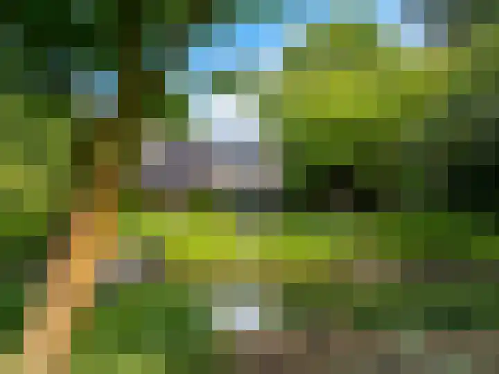 Bosscheweg 4 Tilburg thumbnail 31