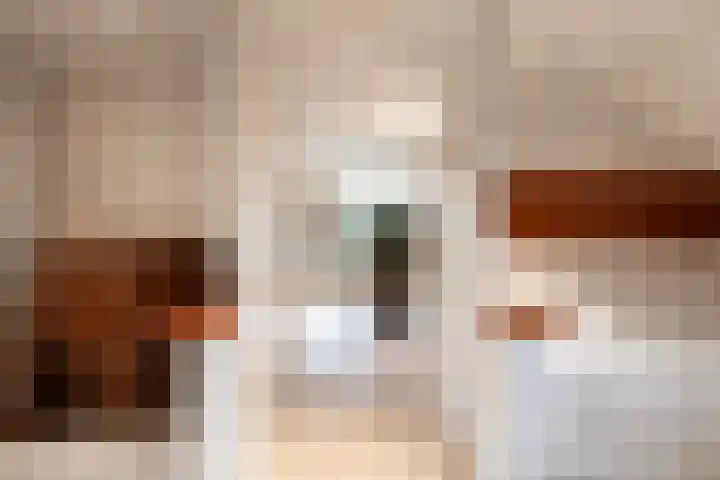 Bosscheweg 4 Tilburg thumbnail 8