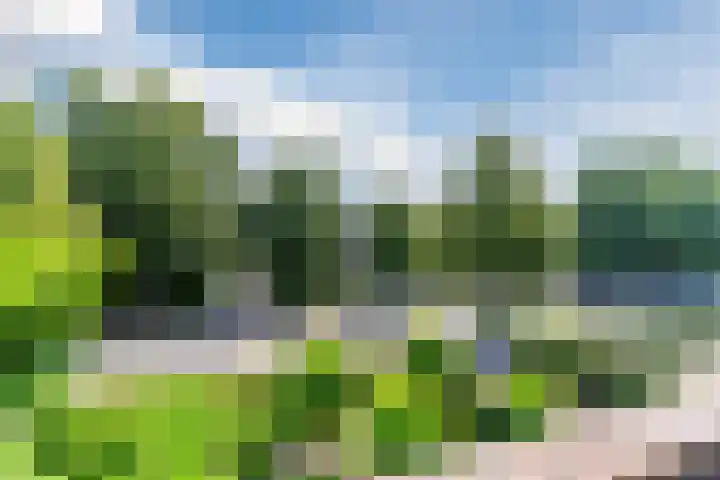 Bosscheweg 53 Vught thumbnail 45