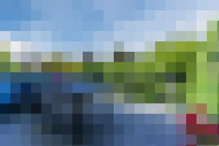 Bosscheweg 53 Vught thumbnail 47