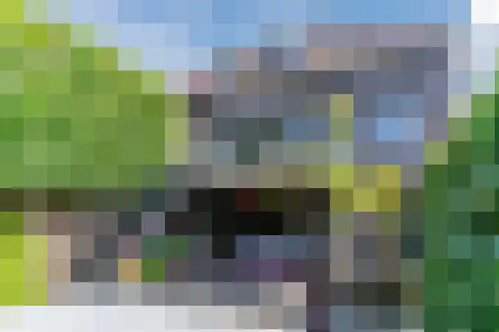 Bosscheweg 53 Vught thumbnail 5