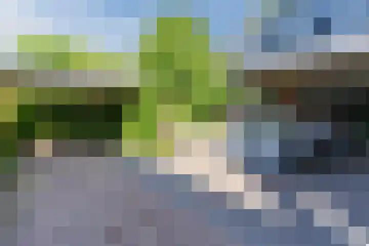 Bosscheweg 53 Vught thumbnail 51