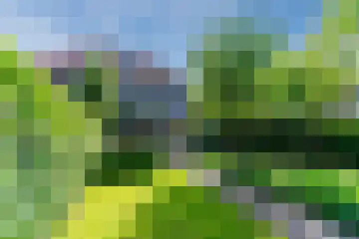 Bosscheweg 53 Vught thumbnail 57