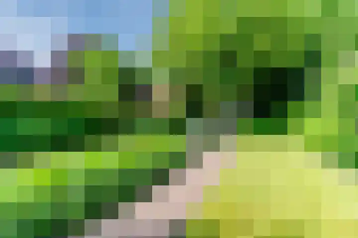 Bosscheweg 53 Vught thumbnail 58