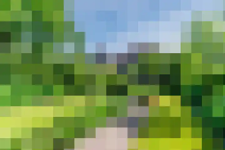 Bosscheweg 53 Vught thumbnail 59