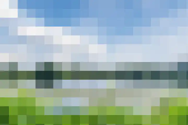 Bosscheweg 53 Vught thumbnail 60