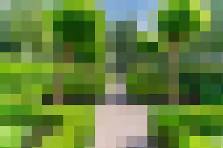 Bosscheweg 53 Vught thumbnail 7
