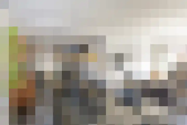 Bosstraat 12 Susteren thumbnail 20