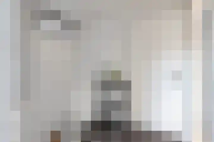 Bosstraat 12 Susteren thumbnail 25