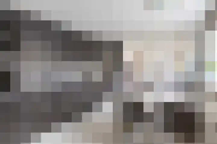 Bosstraat 12 Susteren thumbnail 4