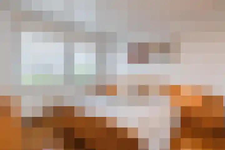 Bosstraat 13 Susteren thumbnail 24